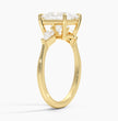 ecomposer-view with diamond shape-princess,ecomposer-size-2-ct,ecomposer-metal type-yellow-gold-18k,ecomposer-view with diamond shape-princess,ecomposer-size-2.5-ct,ecomposer-metal type-yellow-gold-18k,ecomposer-view with diamond shape-princess,ecomposer-size-3-ct,ecomposer-metal type-yellow-gold-18k