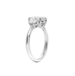 ecomposer-metal type-white-gold-18k