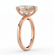 ecomposer-metal type-rose-gold-18k
