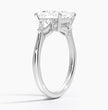 ecomposer-view with diamond shape-princess,ecomposer-size-2-ct,ecomposer-metal type-white-gold-18k