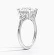 ecomposer-view with diamond shape-princess,ecomposer-size-3-ct,ecomposer-metal type-white-gold-18k