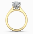 ecomposer-metal type-yellow-gold-18k