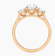 ecomposer-metal type-rose-gold-18k